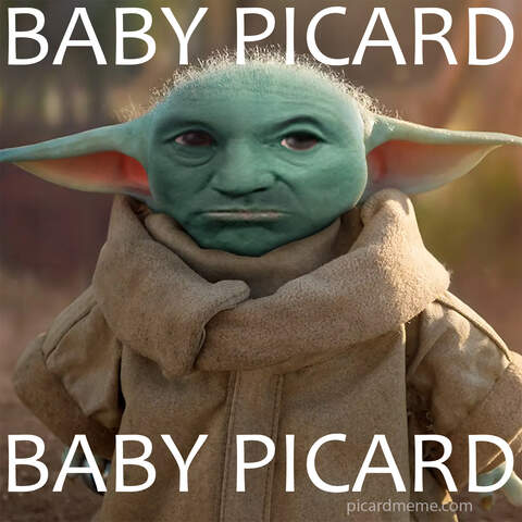 Baby Picard Meme